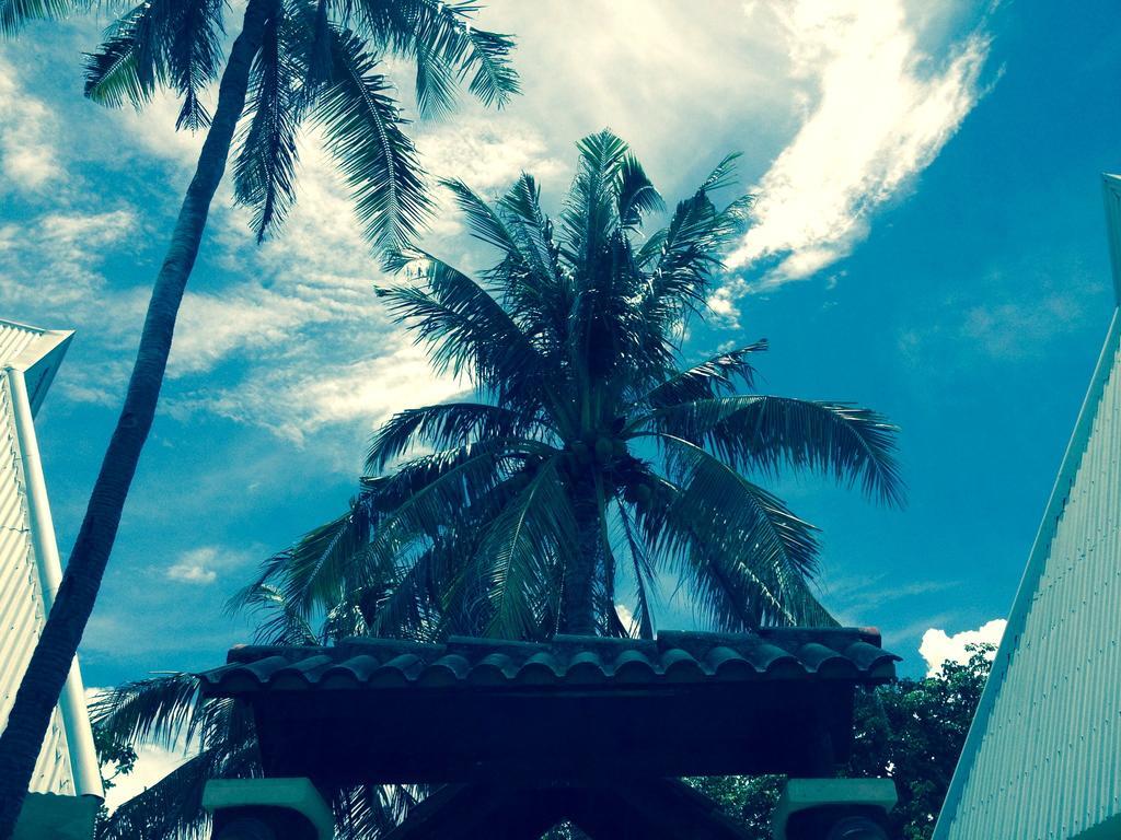 Cordova Reef Village Resort Lapu-Lapu City Exterior photo