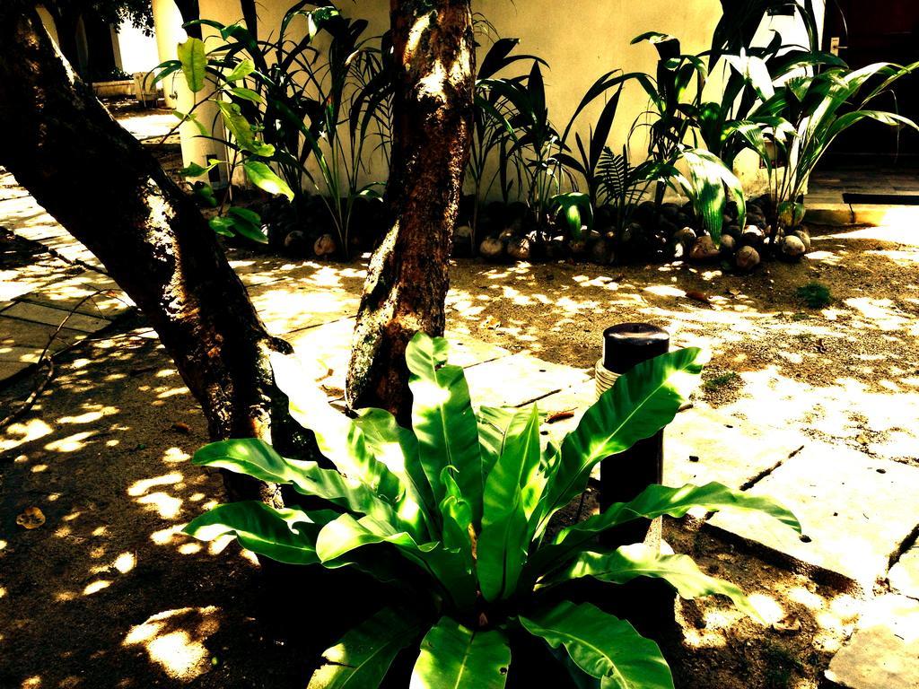 Cordova Reef Village Resort Lapu-Lapu City Exterior photo